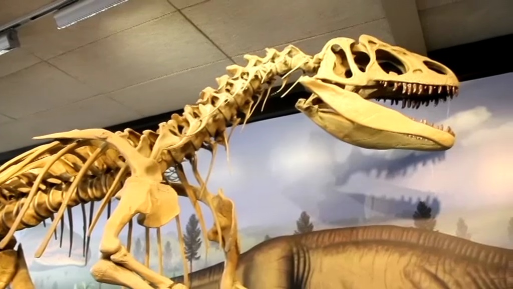 Dinosaur National Monument