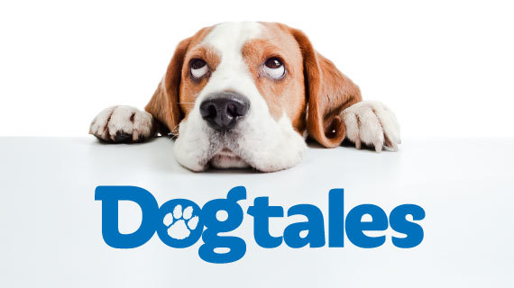 Dog Tales