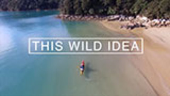 This Wild Idea