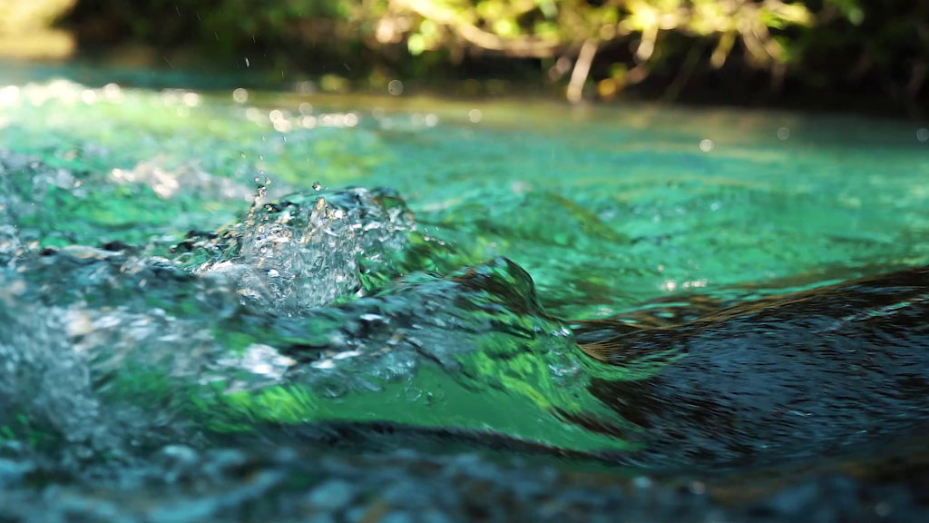 Blue Springs
