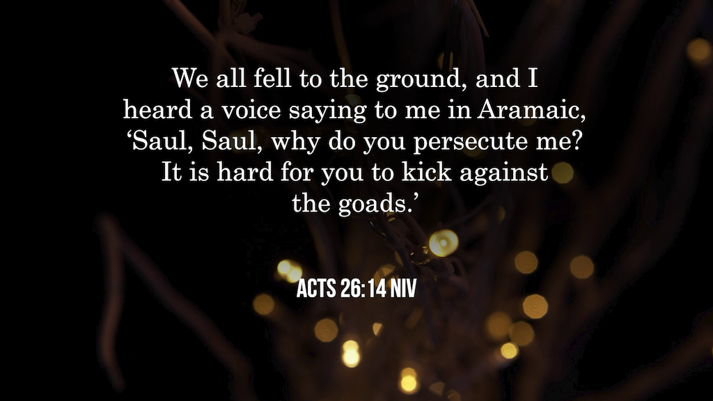 Light –  Sent As A Light